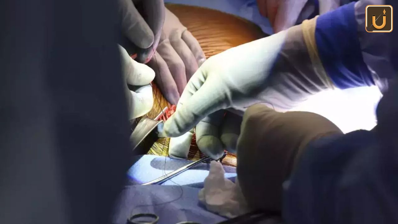 Usthadian Academy / US Surgeons Perform First Pig-to-Human Kidney Transplant | 25 mar 2024 Usthadian Academy / US Surgeons Perform First Pig-to-Human Kidney Transplant